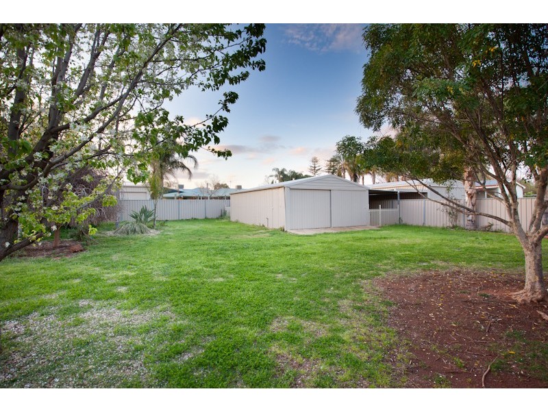 20 Stockmans Drive, Irymple VIC 3498