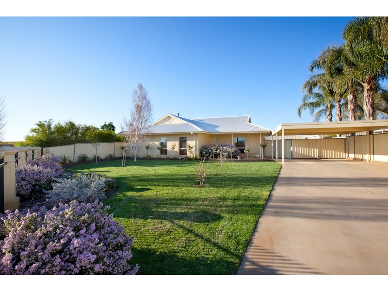 53 Summer Drive, Gol Gol NSW 2738