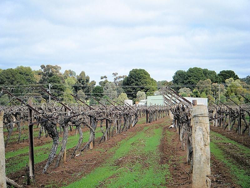 295 Latje Road, Robinvale VIC 3549