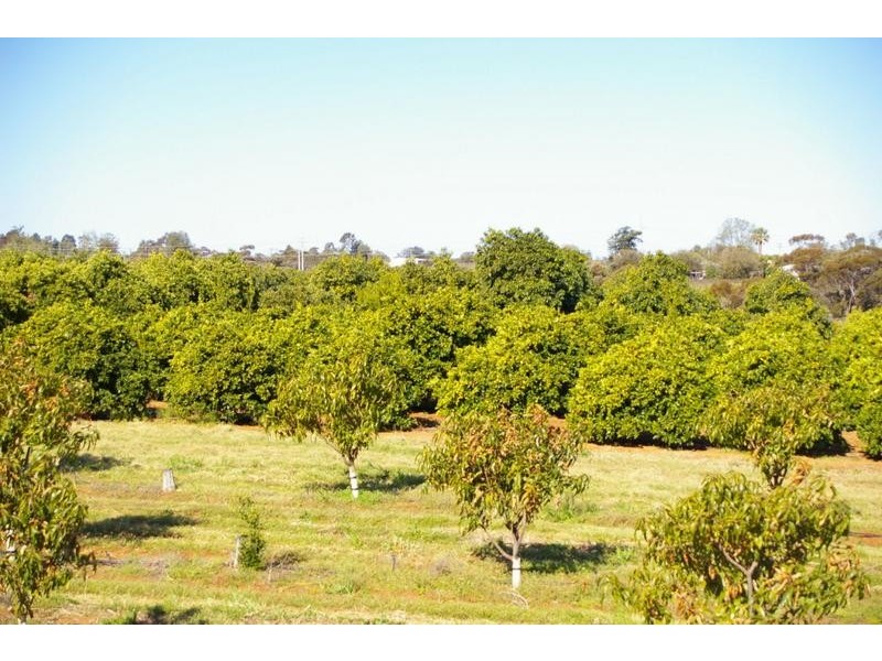 Lot 952b Kookaburra Drive, Dareton NSW 2717