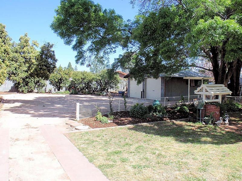 16 Neilpo Street, Dareton NSW 2717