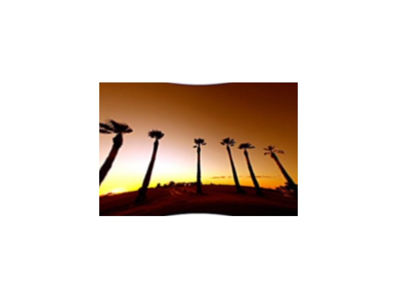 Ontario Heights, Mildura VIC 3500