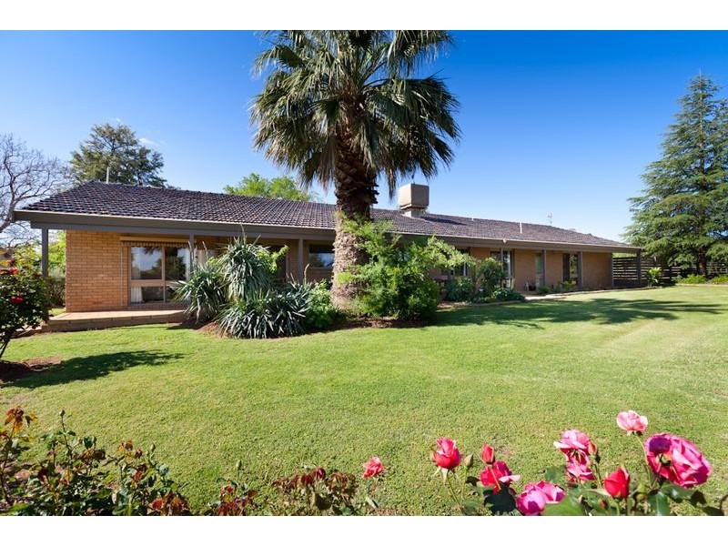 1117 Karadoc Avenue, Irymple VIC 3498