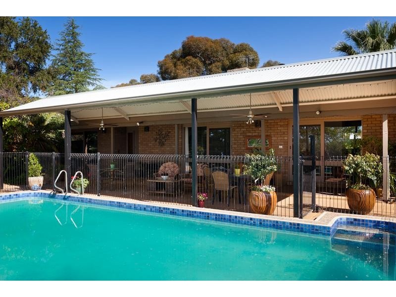 1117 Karadoc Avenue, Irymple VIC 3498