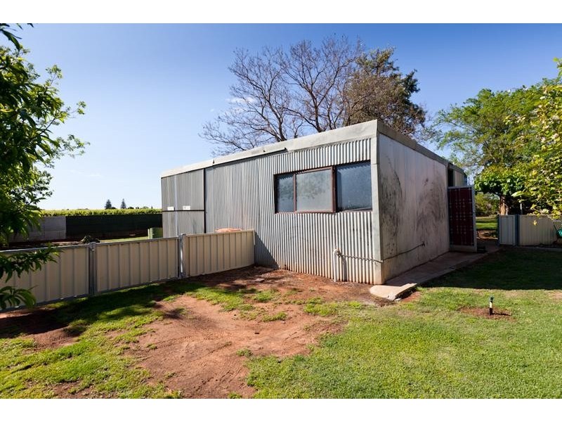 1117 Karadoc Avenue, Irymple VIC 3498