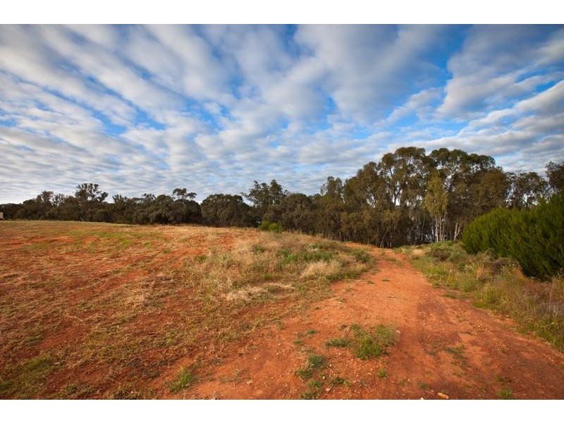 Lot 42,  Cobb & Co Way, Gol Gol NSW 2738