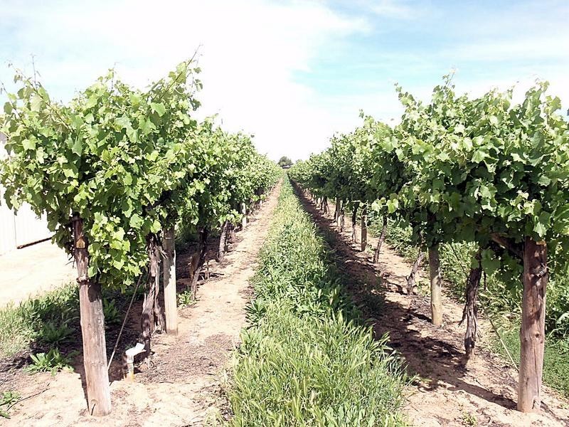 1146-1158 Sandilong Avenue, Irymple VIC 3498