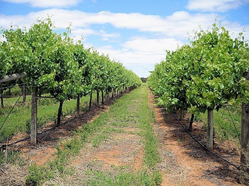 Blk 680-681 Boomerang Avenue, Cardross VIC 3496