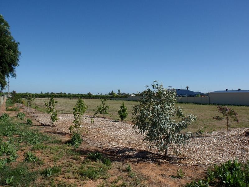 Lot 1,  Dewry Avenue, Irymple VIC 3498