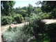 Lot 1 Melaleuca Street, Buronga NSW 2739
