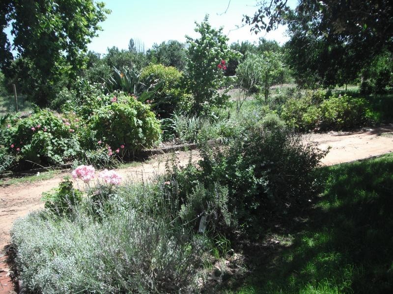 Lot 1 Melaleuca Street, Buronga NSW 2739