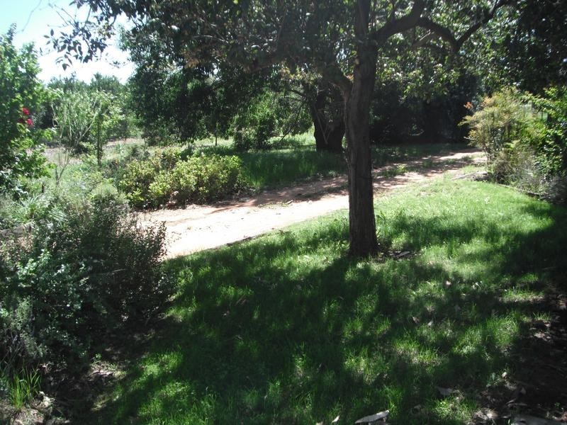 Lot 1 Melaleuca Street, Buronga NSW 2739