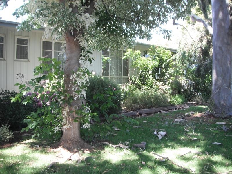 Lot 1 Melaleuca Street, Buronga NSW 2739