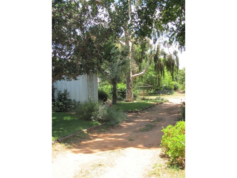 Lot 1 Melaleuca Street, Buronga NSW 2739