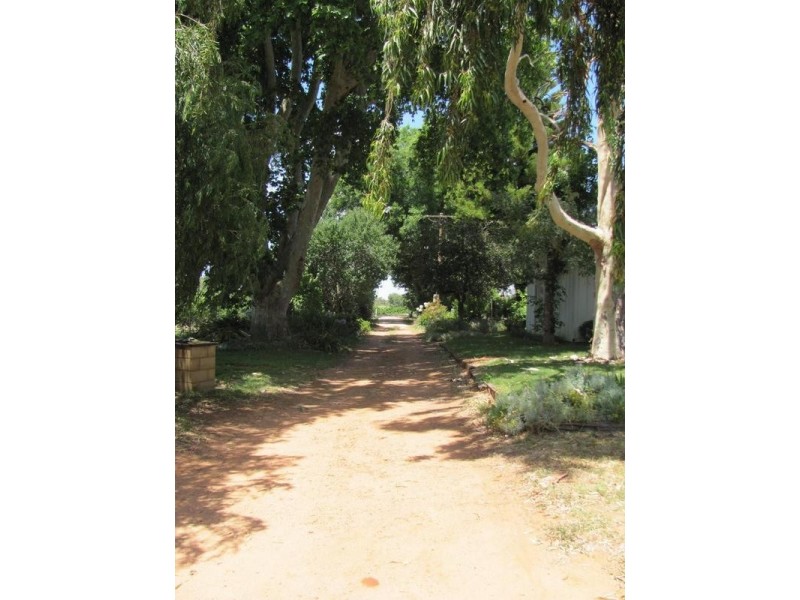 Lot 1 Melaleuca Street, Buronga NSW 2739