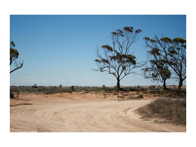 Duncans Road, Meringur VIC 3496