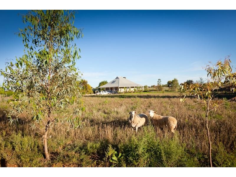 3502 San Mateo Avenue, Mildura VIC 3500