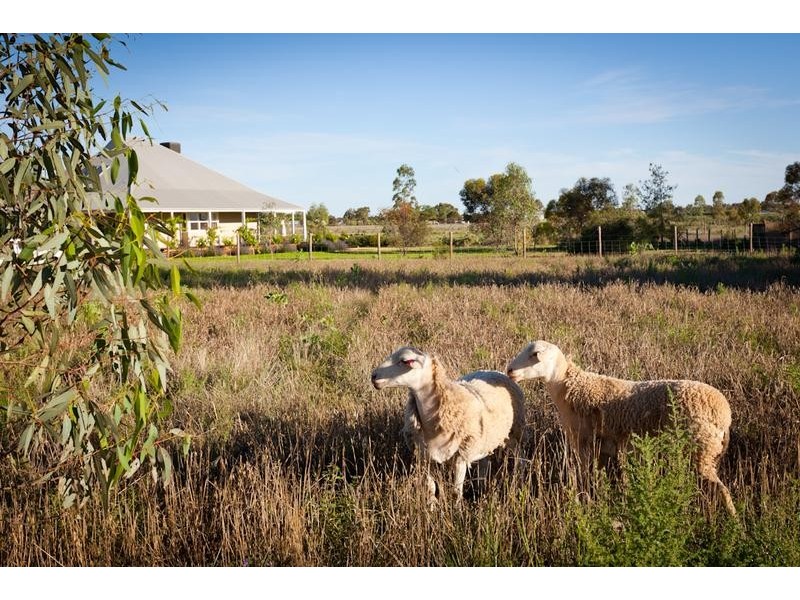 3502 San Mateo Avenue, Mildura VIC 3500