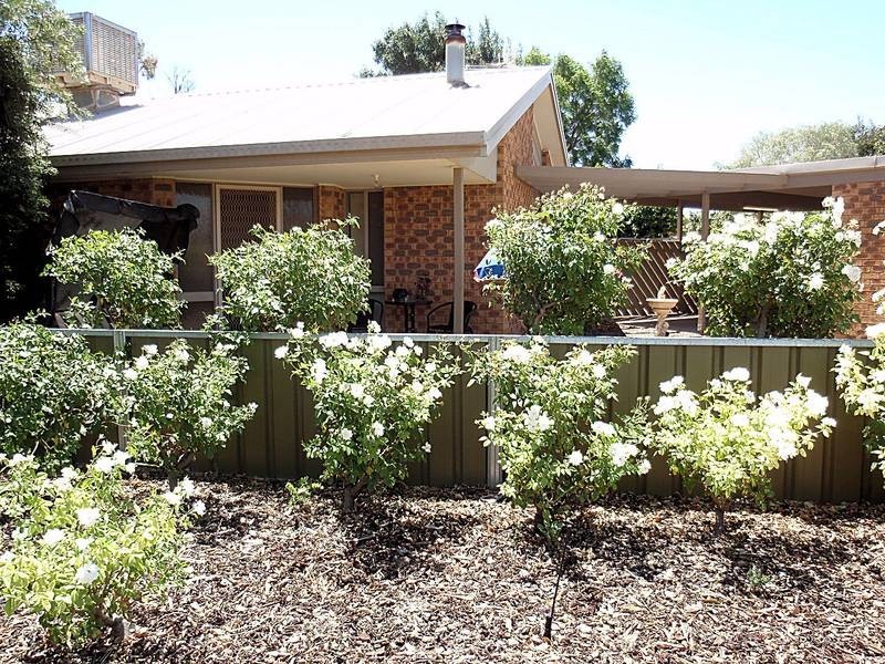 6 Oswald Court, Mildura VIC 3500