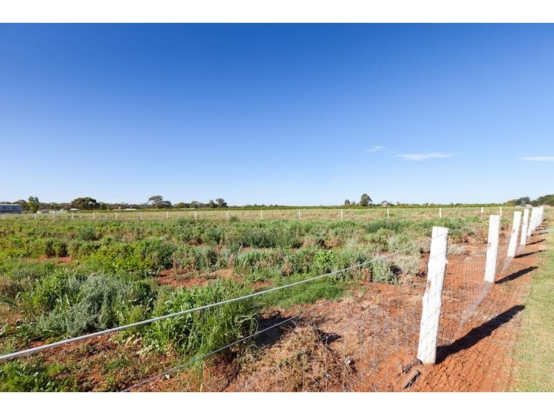 3350 Deakin Avenue, Mildura South VIC 3501