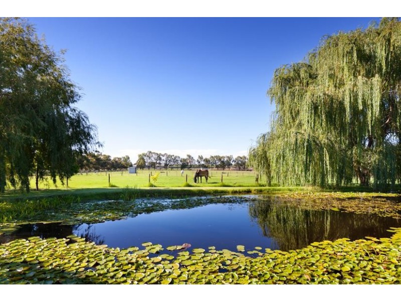 595 Cureton Avenue, Nichols Point VIC 3501