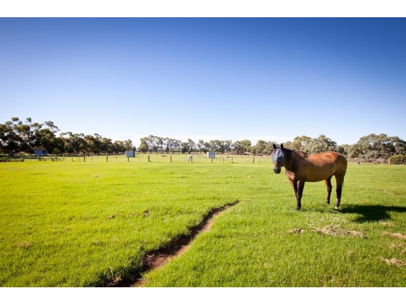 595 Cureton Avenue, Nichols Point VIC 3501