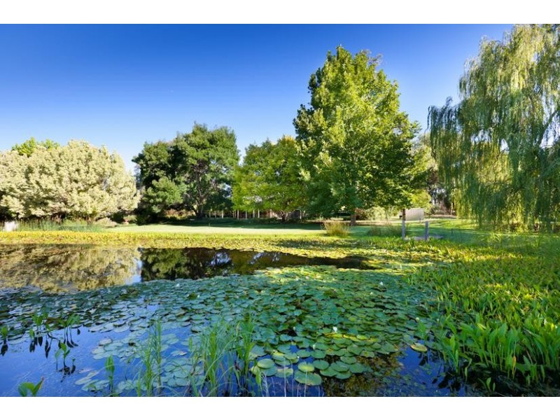 595 Cureton Avenue, Nichols Point VIC 3501