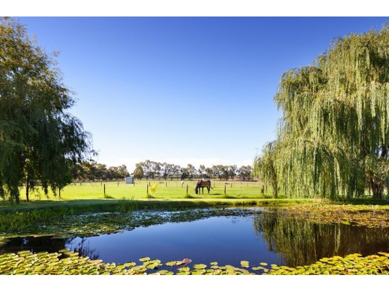 595 Cureton Avenue, Nichols Point VIC 3501