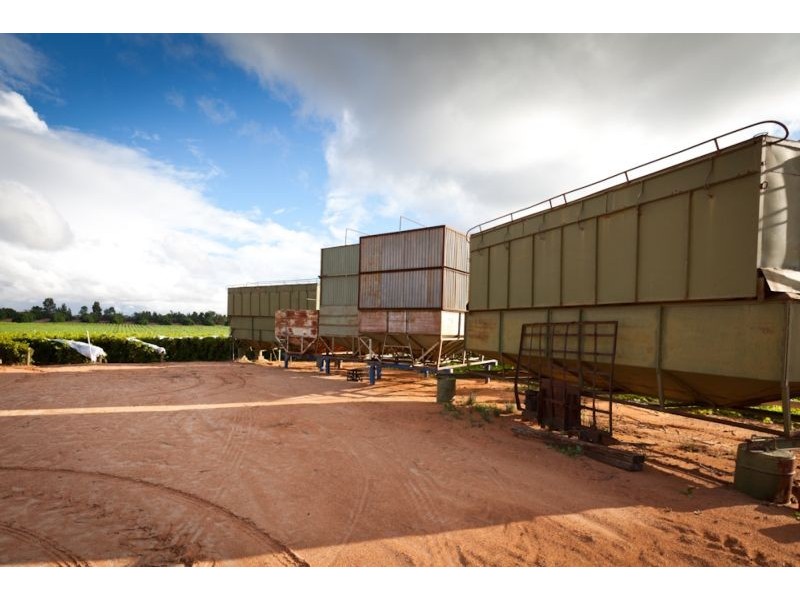 255 Dumosa St, Red Cliffs VIC 3496