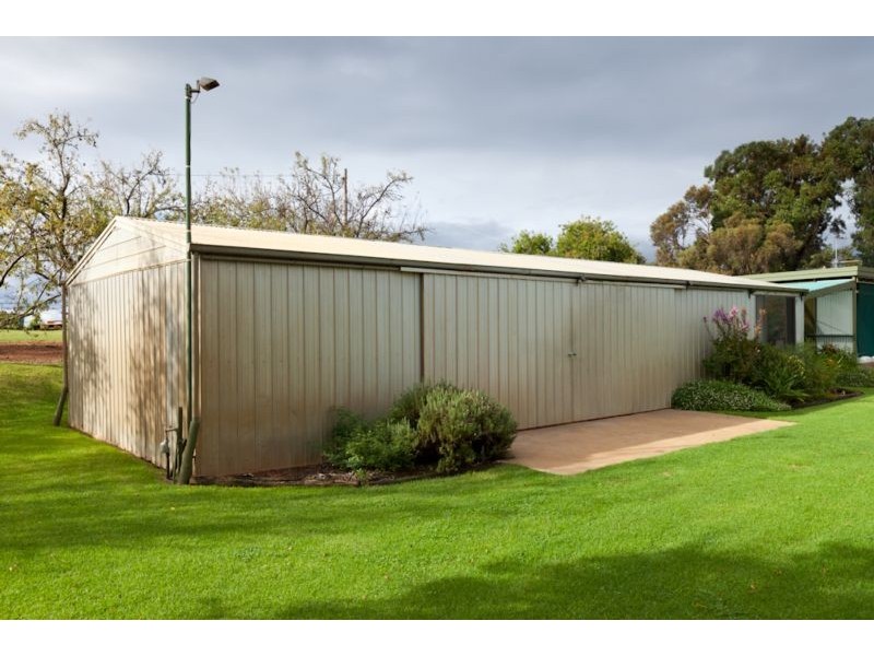 255 Dumosa St, Red Cliffs VIC 3496
