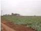 Lot 1,  Freemans Road, Red Cliffs VIC 3496