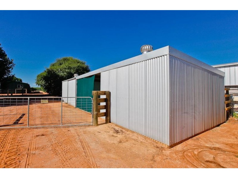 513 Myall Street, Red Cliffs VIC 3496