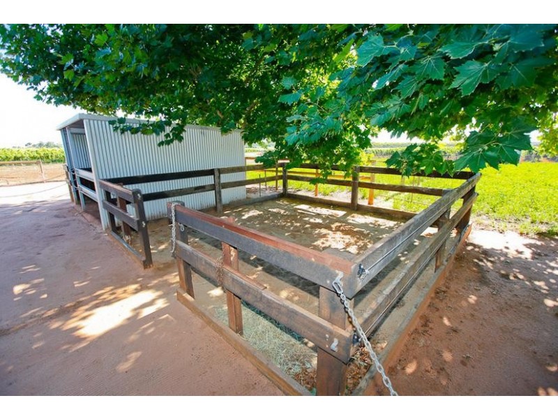 513 Myall Street, Red Cliffs VIC 3496