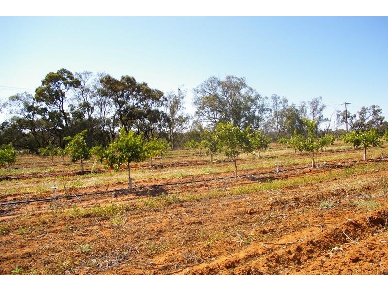 6a Wentworth Road, Yelta VIC 3505