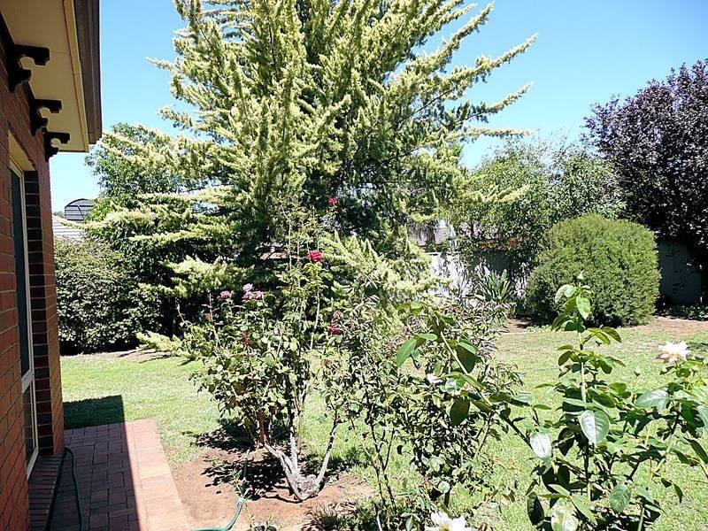 255 Twelfth Street, Mildura VIC 3500