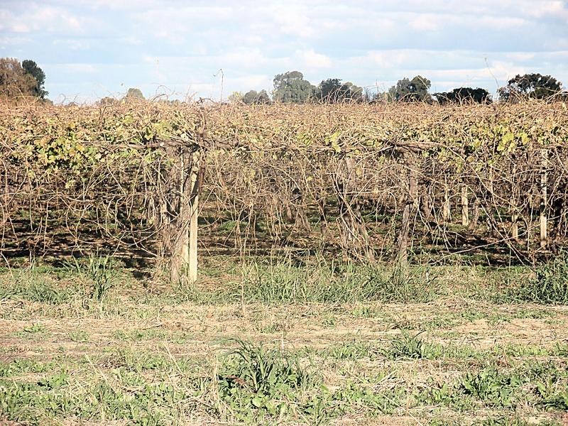 512 Karadoc Avenue, Nichols Point VIC 3501