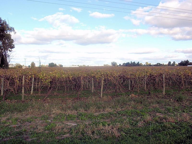 512 Karadoc Avenue, Nichols Point VIC 3501