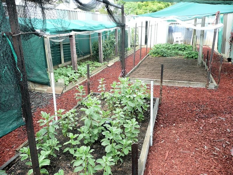 10 Mansell Drive, Mildura VIC 3500