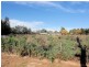 Lot 2,  Cureton Avenue, Mildura VIC 3500