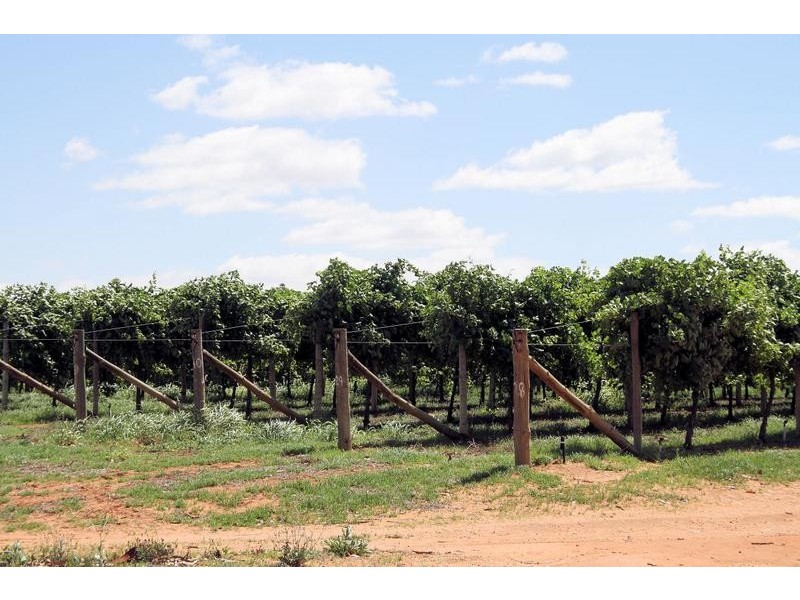 Block 649 Boomerang Avenue, Cardross VIC 3496