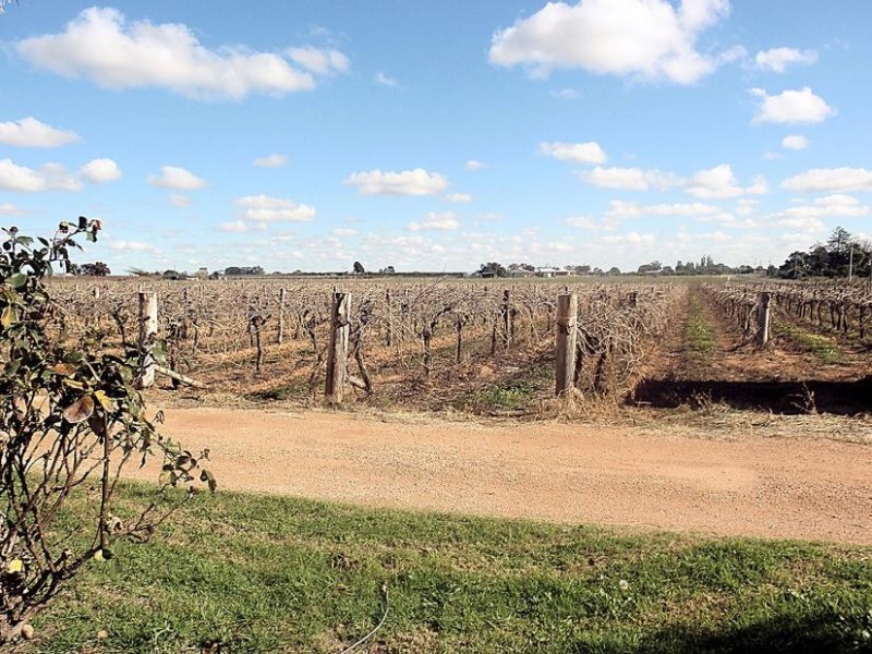 329 Fifth Street, Merbein VIC 3505