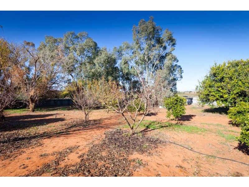 25 McCarthy’s Road, Merbein South VIC 3505