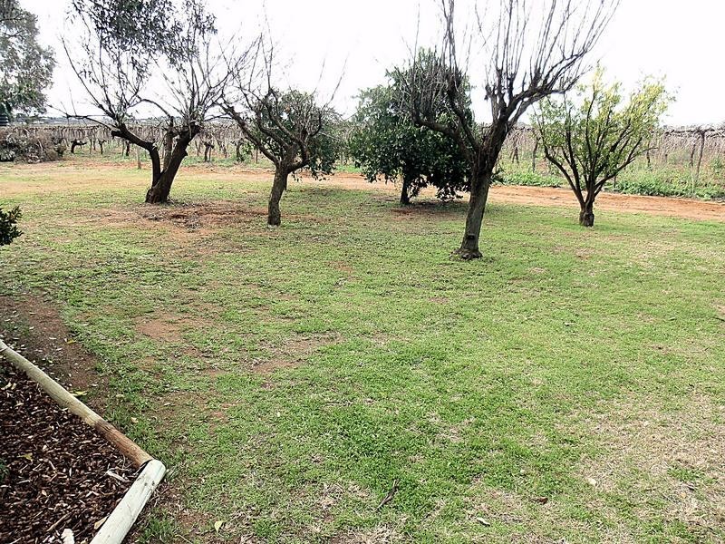 377 Paschendale Avenue, Merbein VIC 3505