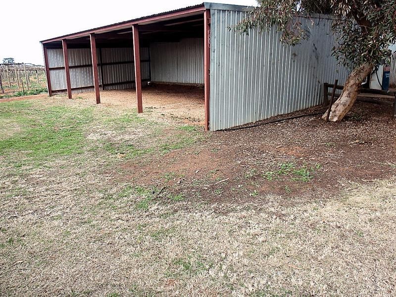 377 Paschendale Avenue, Merbein VIC 3505