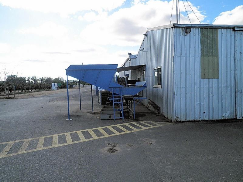 2265 Silver City Highway, Curlwaa NSW 2648