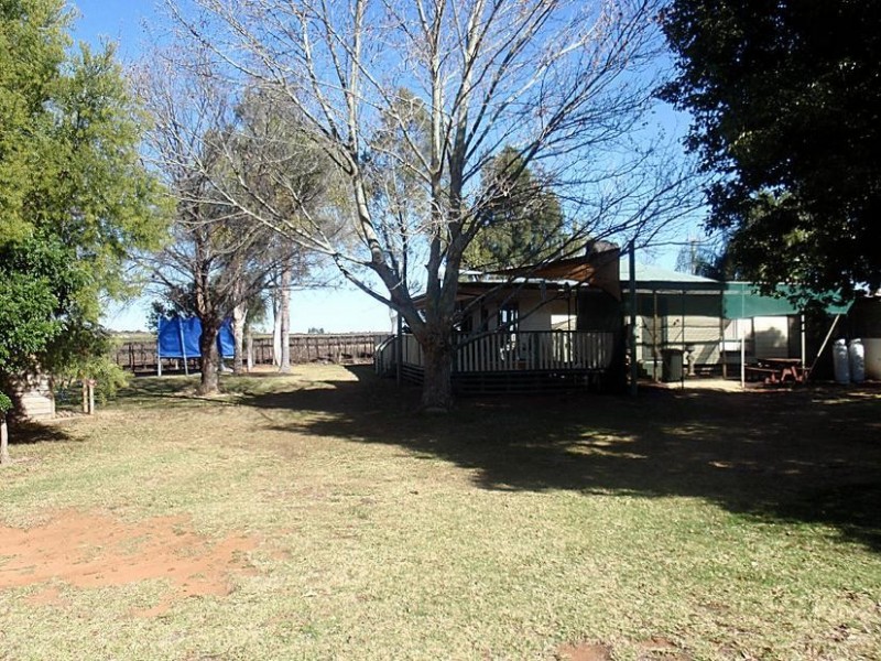 410 Gunya Road, Dareton NSW 2717