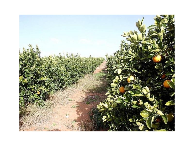 Lot 6,  Kulkyne Way, Red Cliffs VIC 3496