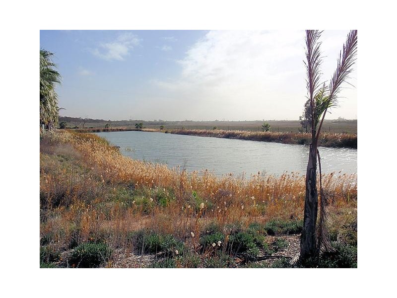 Lot 12a,  Kulkyne Way, Red Cliffs VIC 3496