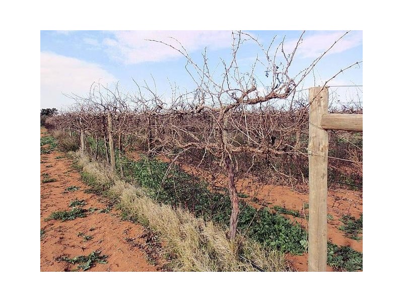 Lot 12a,  Kulkyne Way, Red Cliffs VIC 3496