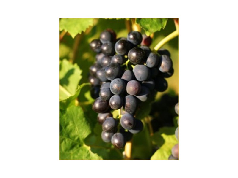 Lot 12a,  Kulkyne Way, Red Cliffs VIC 3496